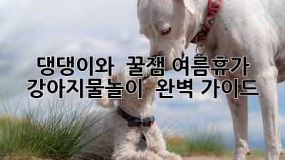 🐶 댕댕이와 🌊 꿀잼 여름휴가! #강아지물놀이 🏊‍♀️ 완벽 가이드
